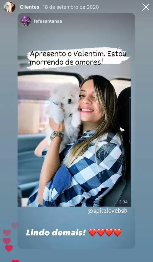 Filhotes Entregues