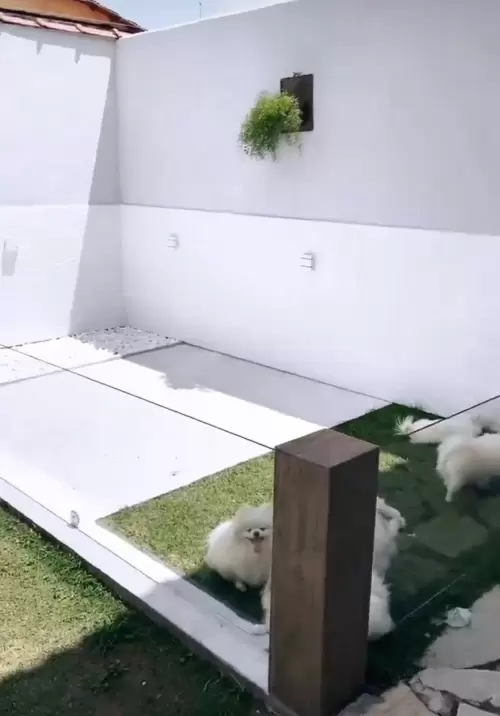 Nosso Espaço