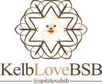 Spitz Love BsB